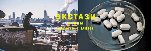 стаф Касимов