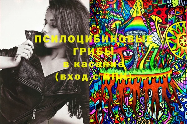 МДМА Карпинск
