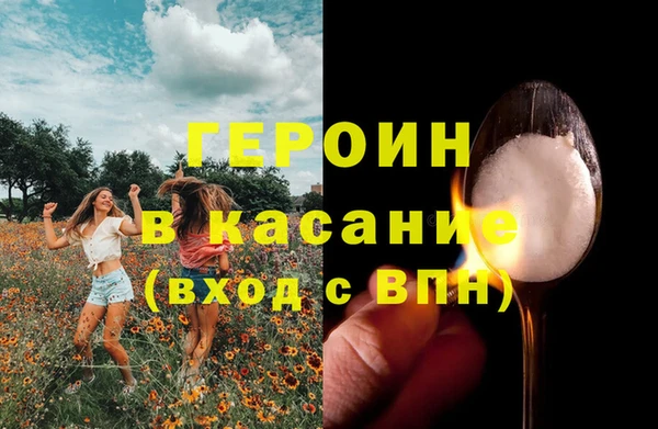 стаф Касимов
