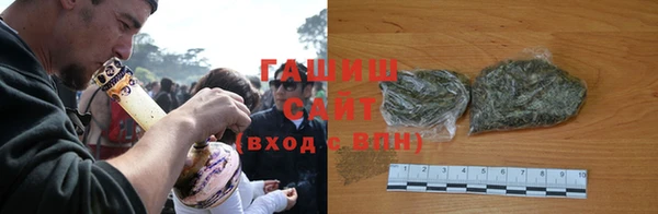 стаф Касимов