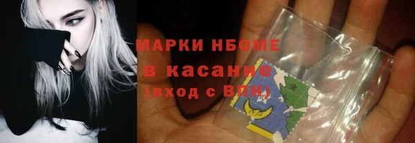 стаф Касимов