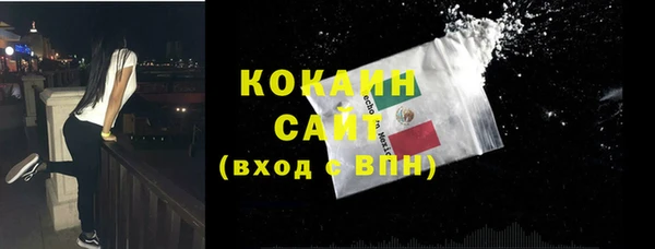 стаф Касимов