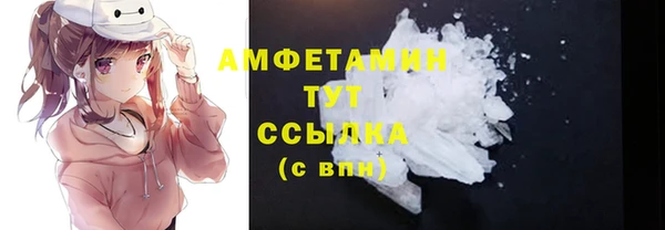 стаф Касимов