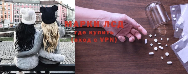 стаф Касимов