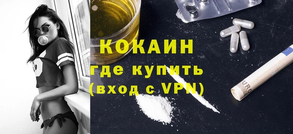 стаф Касимов