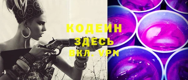стаф Касимов