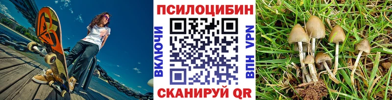 Псилоцибиновые грибы мухоморы  Купить  Высоковск 